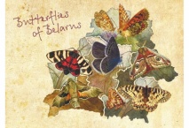Бабочки Беларуси